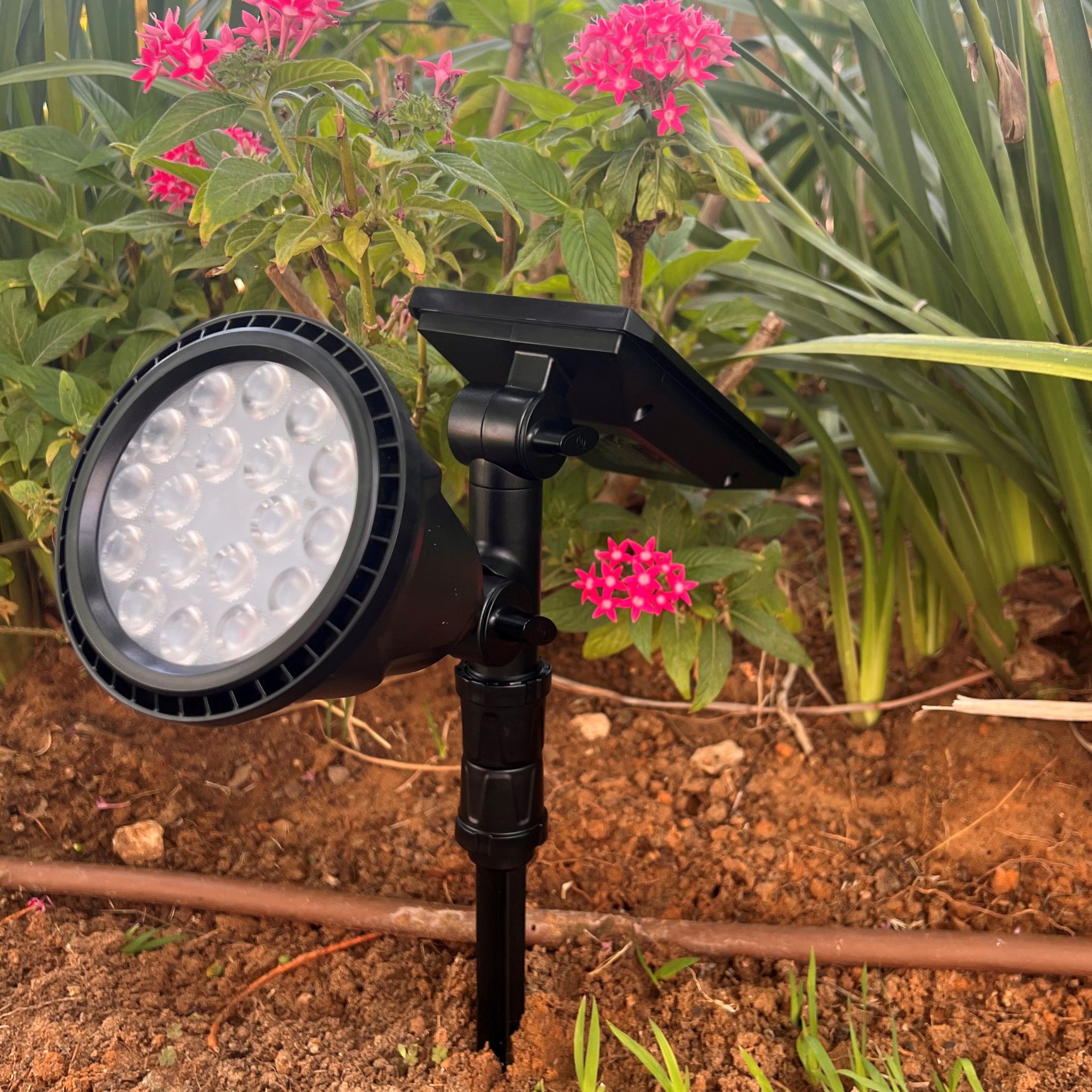 ספוט דוקרן תאורה סולארי לגינה לבן קר 300 לומן !!