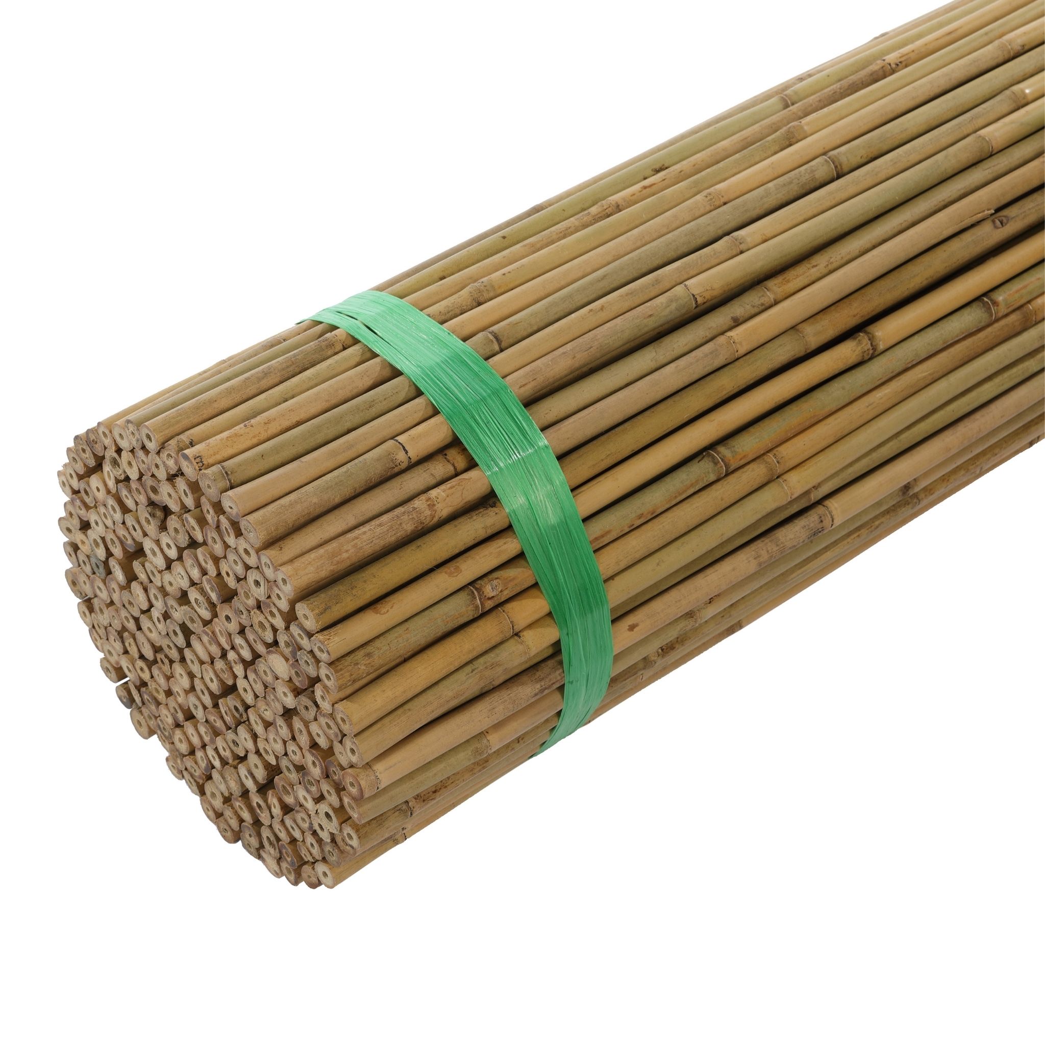 במבוק מושחל דגם פרימיום גובה 1 מטר