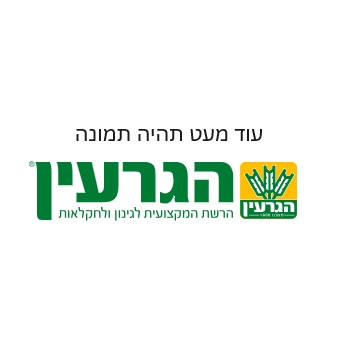 זרעי בזיליקום סגול  100 זרעים 9289